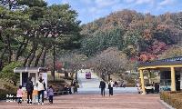 김천 행정, 공원 품격 스스로 허물었다